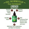 Lymphatic Drainage Support Drops | Natural Herbal Supplement for Detox,