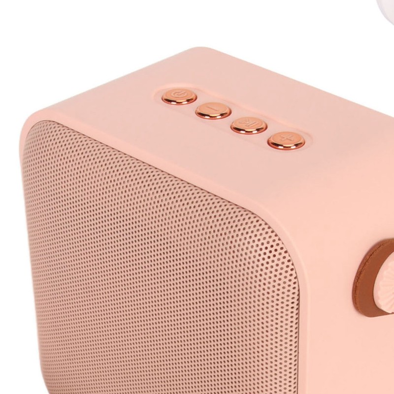 Mini Karaoke Machine Set Portable Bluetooth Speaker with 1 Wireless