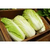 NIKA SEEDS - Seeds Vegetable Napa Cabbage Chinese Green -