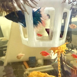 HOZOE Aquarium Betta Hammock, Betta Hideout & Cave, Floating Feeding Ring for Fish and Shrimp, Aquarium Floating Decoration Accessory (Translucent Color)