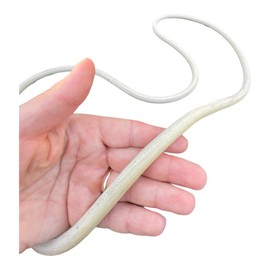 F & R Rubber Seal Seal for 85 L Barrel