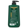 Irish Spring Original Clean Body Wash, 30 Oz Pump (Pack