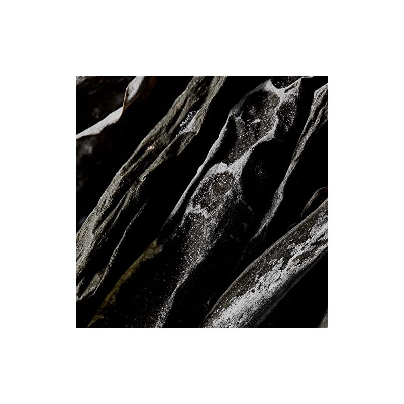 SHIRO Gome Kelp Serum, 2.4 fl oz (60 ml) (Without