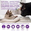 TopSum Cat Pheromones Calming Diffuser: Premium Pheromone Diffuser for Cats