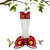 Perky-Pet 203CPBN Glass Hummingbird Feeder for Outdoors with Perches, Ant
