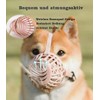 Dog Muzzle for Small, Medium, Large Dogs, Prevents Biting, Chewing