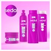 Sedal Shampoo Liso Perfecto 620 ml -