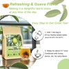 FullChea - Guava Leaves Tea Bags, 50 Teabags - Hojas