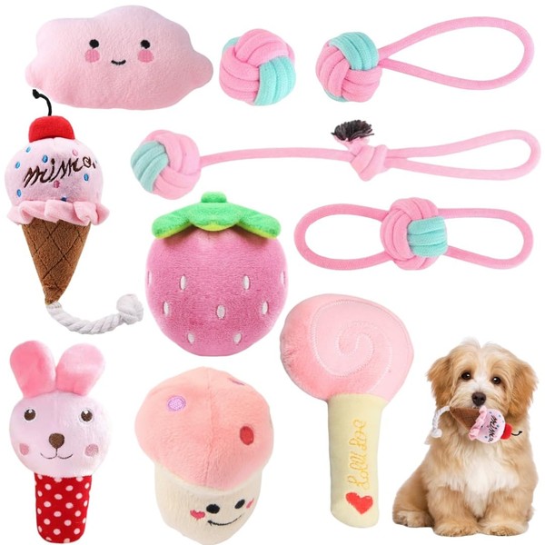 Speedy Panther 10 Pack Gentle Chew Dog Toys for Puppies