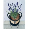 Hazel Shell Chips - Mulch Amendment Product - 10 lbs.