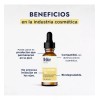 HEBBE COSMETICS CSVD8 Conservador Cosmético Natural, Sharomix 705, 30 G