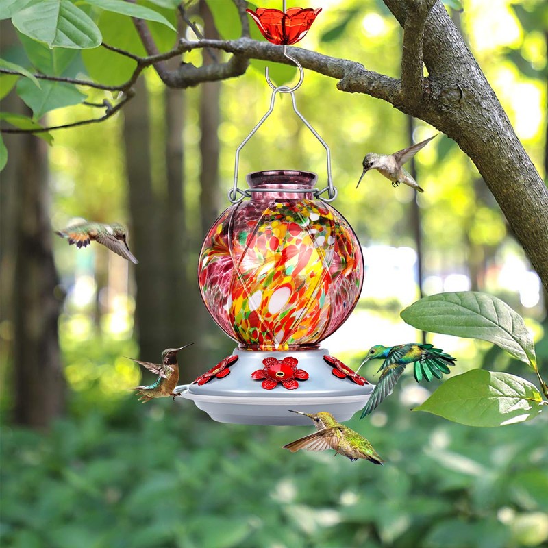 Hummingbird Feeder