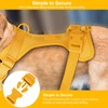 No Pull Lightweight Dog Harness: Adjustable Durable Breathable Mesh Pet