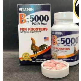 INTERFARMA B12-5000 120TAB WITH IRONNUTRITIO