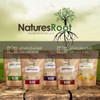 Natures Root Nature's Root Organic Psyllium Husks 1kg by Nature's