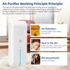 Plug In Ionizer Air Purifier:4 Pack Air Ionizer for Home