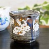 Waza no Kura Stylish Kutani Ware Teacup with Mountain Cherry