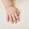 The Little Green Sheep Waterproof Mattress Protector, Organic Cotton, (to