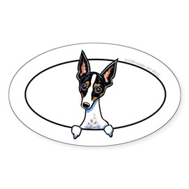 CafePress Rat Terrier Peeking Bumper Sticker Oval Car Bumper Sticker
