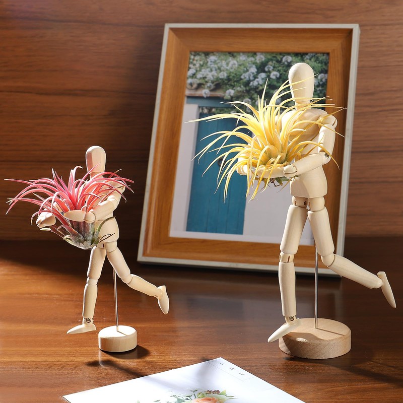 Air Plant Holder Wooden Jointed Mannequin - Adjustable Tabletop Air