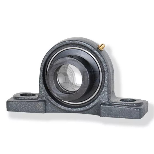 QJZ 1.125 in Pillow Blocks Cast Iron HCP206-18 Mounted Bearing