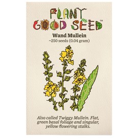 Plant Good Seed Wand Mullein Seeds - Pack of 250, Heirloom Seeds for Planting Herbs, Flowers - Gardening Supplies, Wildflower, Herb Garden, Flower Seeds to Plant Outside - from USA