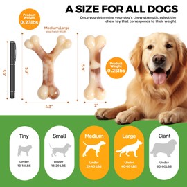 BUY IT ONCE Dog Chew Bones for Aggressive Chewers, 3 Pcs Tough Nylon Chew Toys for Small, Medium and Large Dogs, Interactive Durable Toys for Teeth Cleaning and Anxiety Relief, Ideal for 18 to 60 lbs