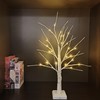 pete mici Tree Lamp, 2FT 24LT LAMP, Birch Tree-Warm White,
