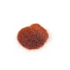 EliteKoopers Copper 3.5oz/100g Ultra Fine Glitter Sparkle Shine Powder dust