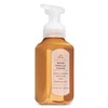 Warm Vanilla Sugar Gentle Foaming Hand Soap