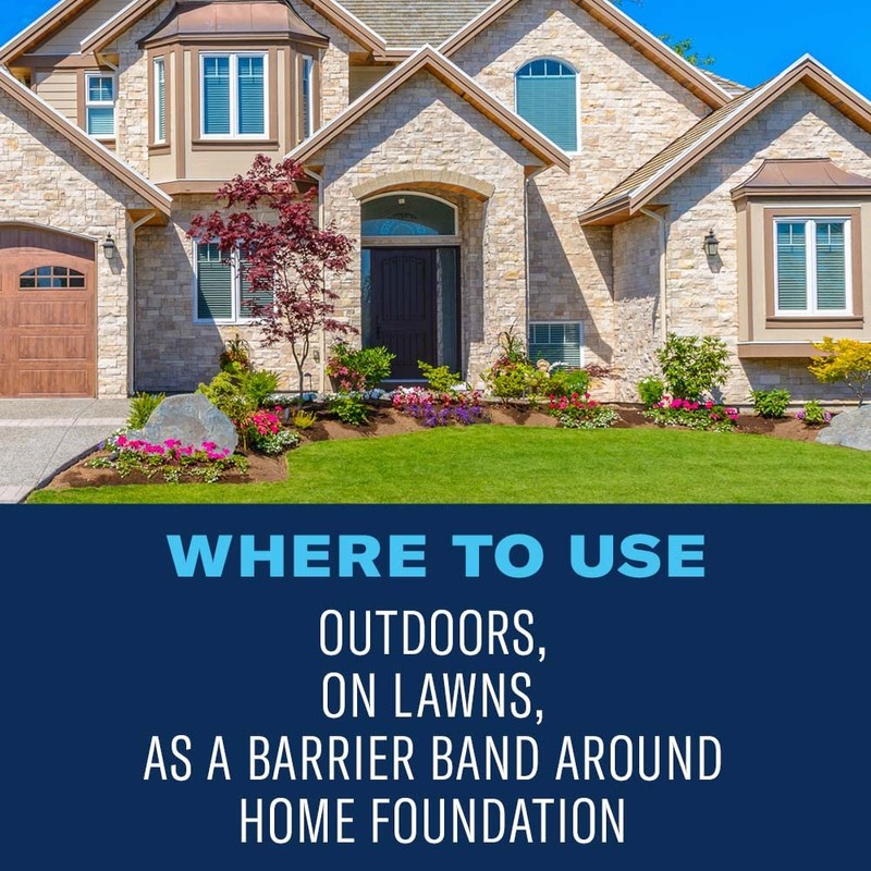 BioAdvanced Season Long Grub Control, Ready-to-Spread Granules for Insects, 10