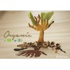 ReModena Organic Apple Balsamic | Dressing Made with Balsamic Vinegar