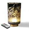Eywamage Battery Operated Table Lamp with Remote, Pampas Cordless Glass