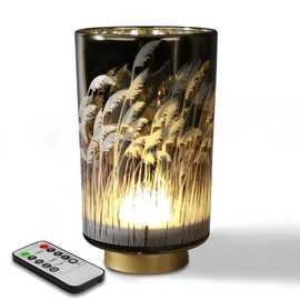 Eywamage Battery Operated Table Lamp with Remote, Pampas Cordless Glass Accent Lamp Lights for Bedroom Living Room Kitchen