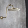 SEABEFORE 13 Inch S-Shape Shower Arm Gold Gooseneck Shower Head