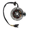 Magneto Stator Plate Copper Coil 5 Wire High Conductivity Generator