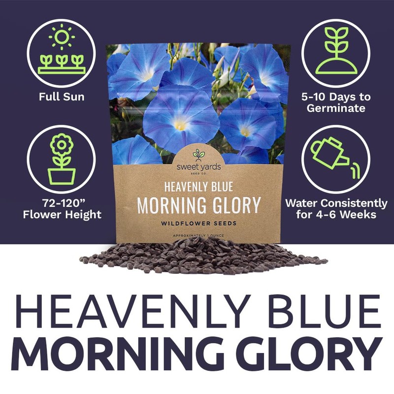 Morning Glory Seeds Heavenly Blue - Large 1 Ounce Packet