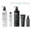 ARTEGO Good Society Color Glow 02 Shampoo, 1000 ml