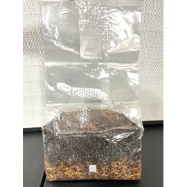 Galnut Magical 5 lb Mushroom All in One Grow Bag for Manure Loving Mushrooms with Injection Port and 0.2 Micron Breathable Filter
