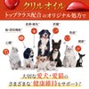 【獣医師監修】 うちの脳活サポート サプリメント 犬 猫 ペット 無添加 うちのかぞく （30粒/1袋）