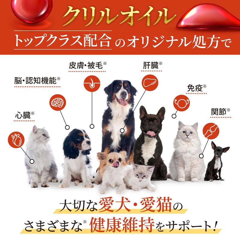 【獣医師監修】 うちの脳活サポート サプリメント 犬 猫 ペット 無添加 うちのかぞく （30粒/1袋）