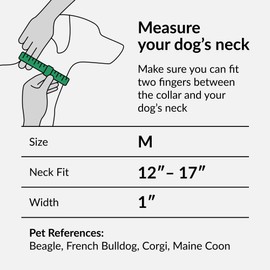 CollarDirect Martingale Collars for Dogs Heavy Duty Floral Pattern Female Safety Nylon Training Wide Collar Floral (Green Daisy, 30-43cm)