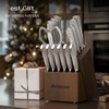 Knife Set, Astercook Kitchen Knife Set with Block, 15 Pcs