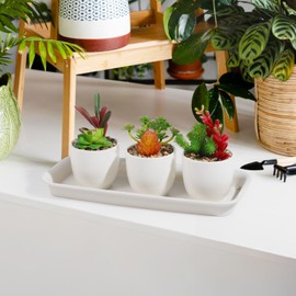 Yardwe 5 platillos rectangulares de plástico para Plantas, Bandeja de Goteo, Bandeja Redonda para macetas para almacenar Gotas de Agua y Tierra, 28 x 11 x 2 cm (Beige)