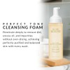 Flori Roberts Perfect Tone Cleansing Foam, Gentle Purifying Face Wash