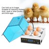 4 Eggs Incubator Temperature Control Digital Chicken Chick Duck Hatcher