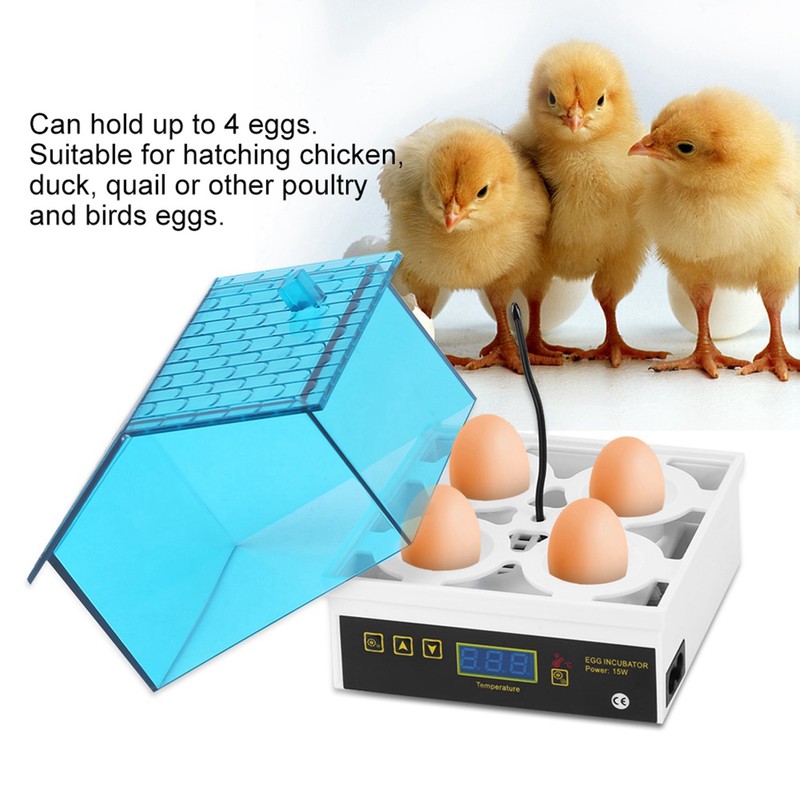 4 Eggs Incubator Temperature Control Digital Chicken Chick Duck Hatcher