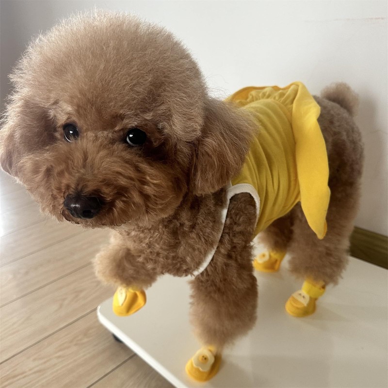 Yeduzyn 4Pcs Waterproof Dog Boots Dog Shoes for Snow and