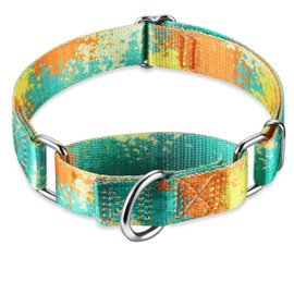 Dazzber Martingale Dog Collars Colourful Oil Painting Pattern Series - No Pull Pet Collar Silky Soft for Medium and Large Dogs (Small, 1.5 cm Wide, Deserts and Oases)