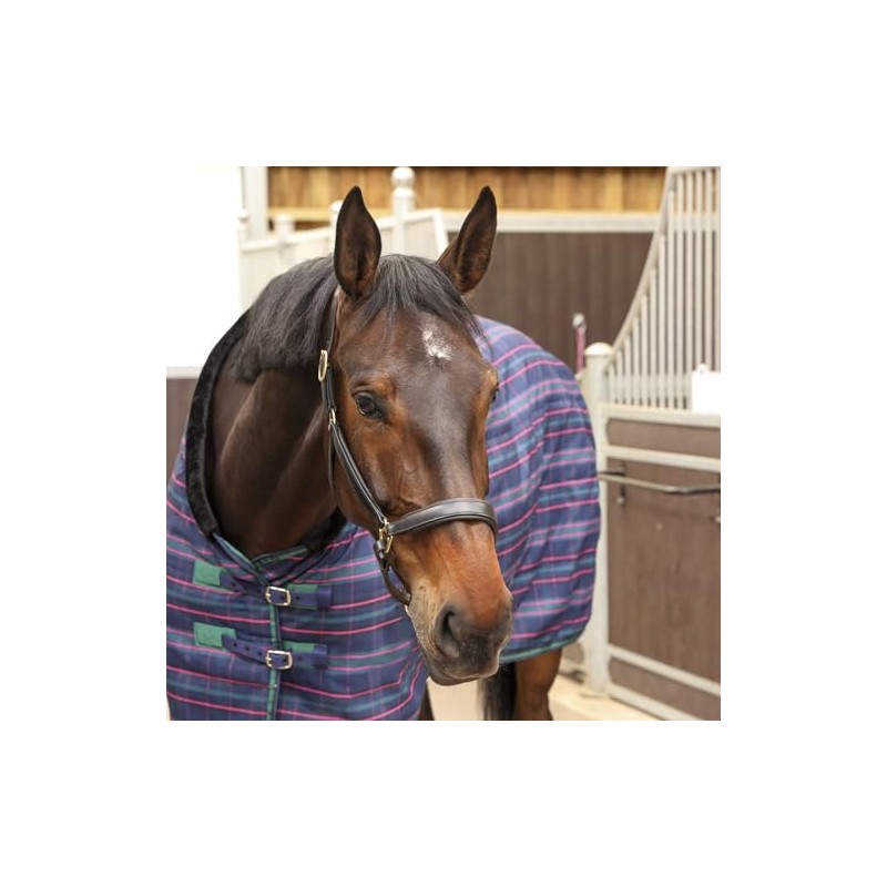 Shires Tempest Plus 100 Stable Rug - Navy Tartan 6ft6